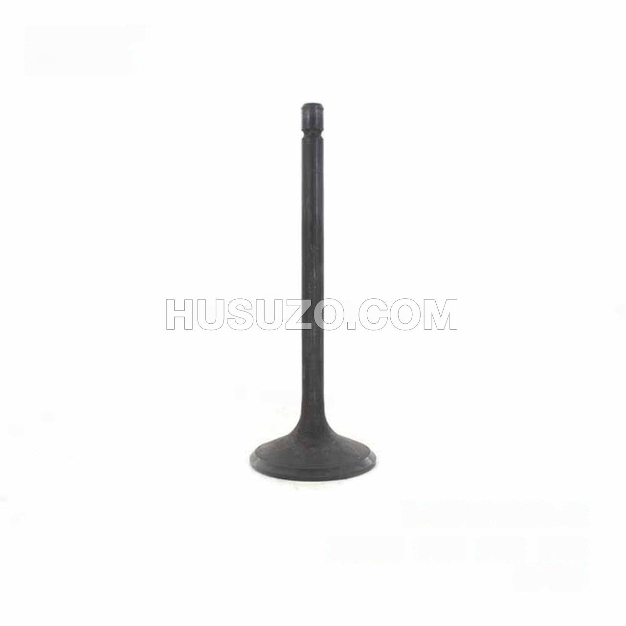 8971713980 Inlet Valve for ISUZU FRR FSR FTR